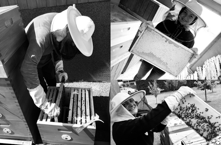 Váš Med - Koláž fotek